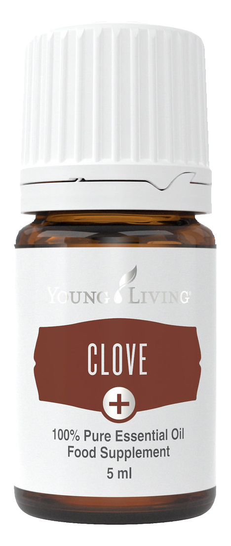 Freigestelltes Young Living Produktbild: Clove+