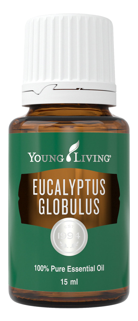 Freigestelltes Young Living Produktbild: Eucalyptus Globulus