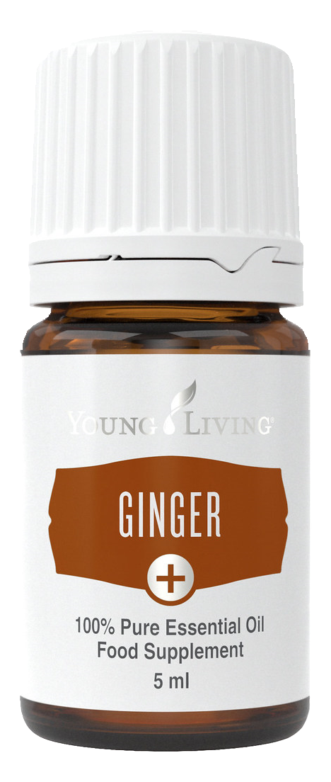 Freigestelltes Young Living Produktbild: Ginger+