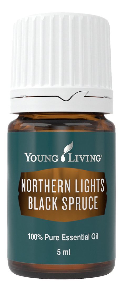 Freigestelltes Young Living Produktbild: Northern Lights Schwarzfichte