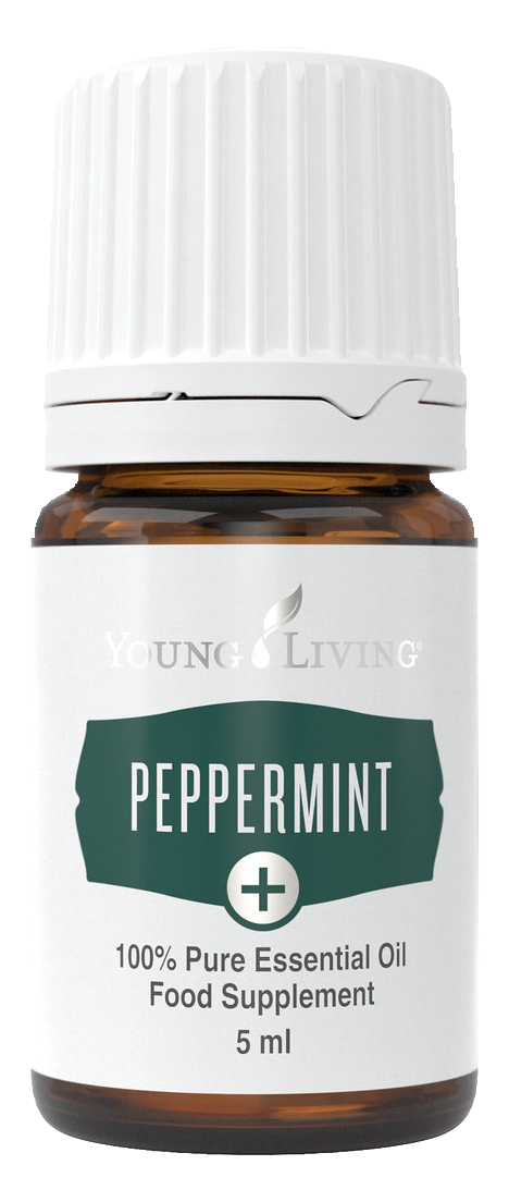 Freigestelltes Young Living Produktbild: Peppermint+