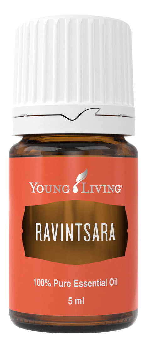 Freigestelltes Young Living Produktbild: Ravintsara