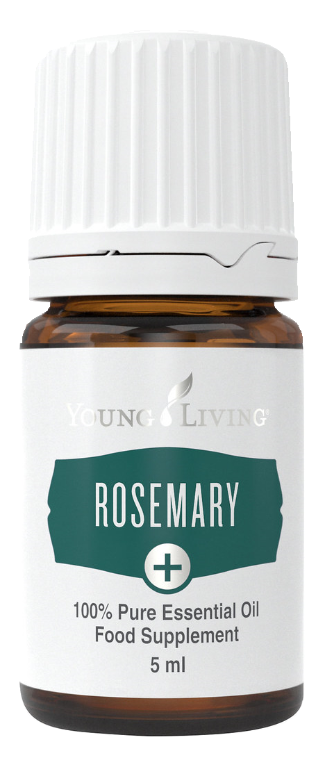 Freigestelltes Young Living Produktbild: Rosemary+